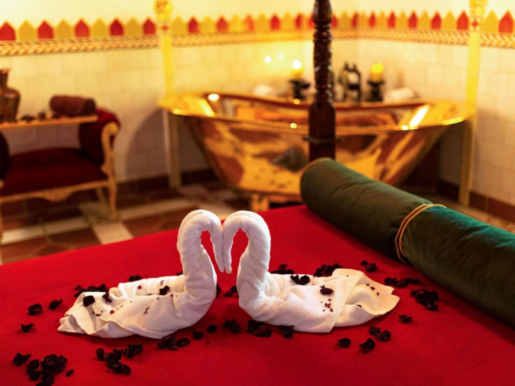 克雷尼察美居克雷尼察度假酒店 的两个白天鹅坐在红色地毯上