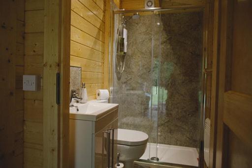 MarkinchCosy Log Cabin - The Dookit - Fife的带淋浴、卫生间和盥洗盆的浴室