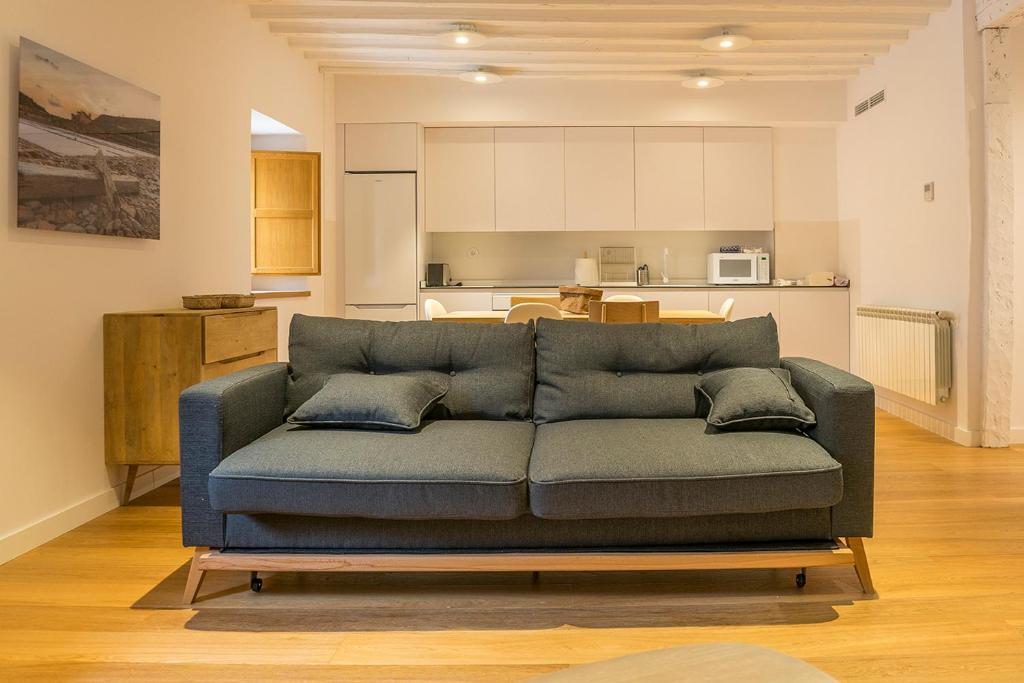 锡古恩萨Apartamento Alcuneza en Elmolinodelasal de Sigüenza的一间带蓝色沙发的客厅和一间厨房