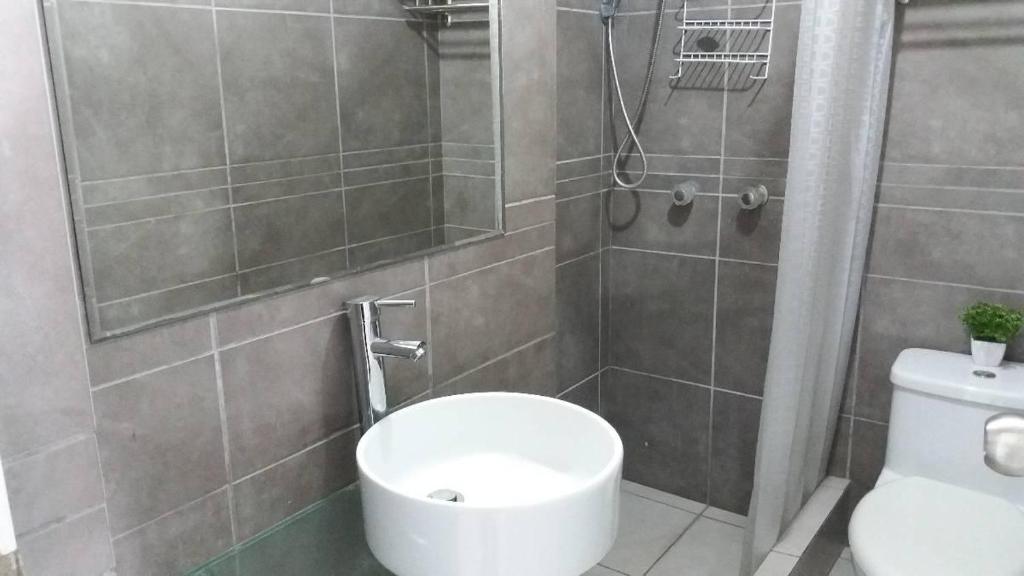 蓬塔赫尔莫萨El Refugio的一间带卫生间和淋浴的浴室