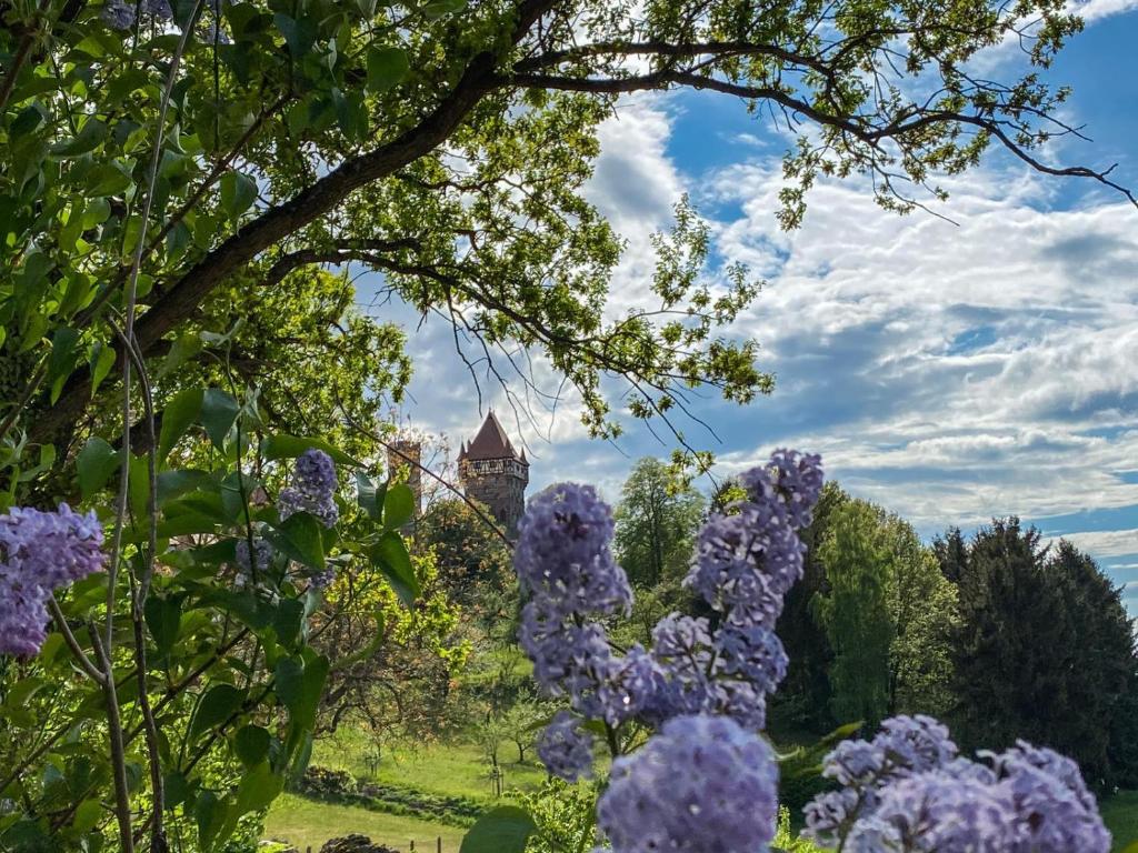 阿本贝格阿本贝格酒店的紫色花卉花园美景