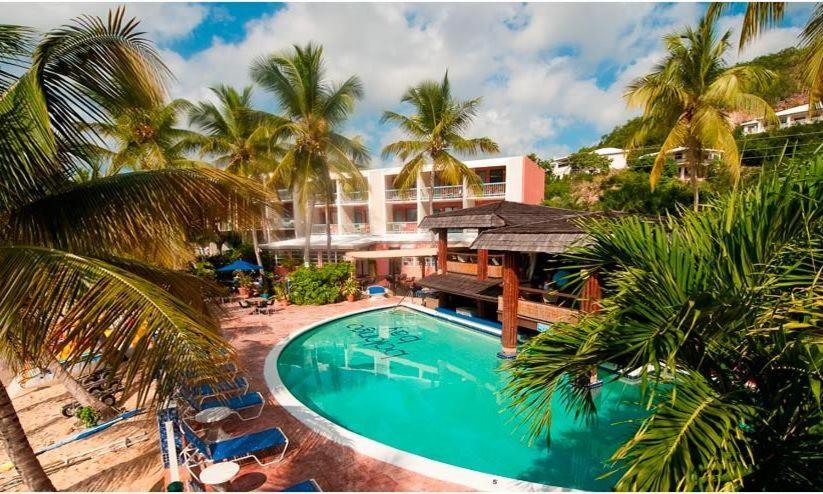Bolongo博隆戈湾海滩度假酒店的棕榈树度假村前的游泳池