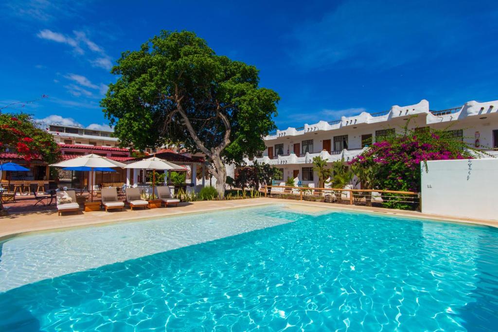 阿约拉港嘉年华酒店的酒店前的游泳池