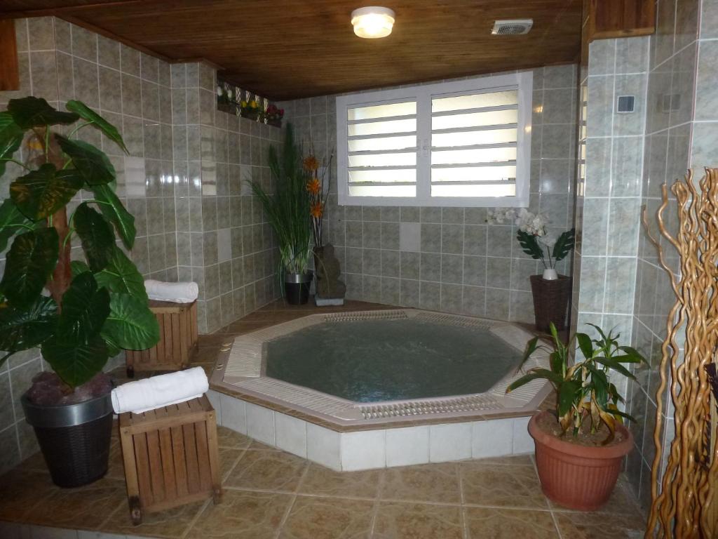 锡拉奥雪酒店的一间带植物浴缸和窗户的浴室