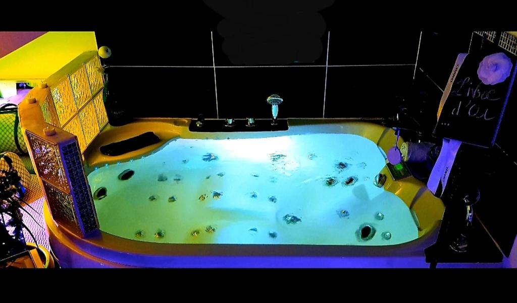 戛纳CANNES TOIT ET MOI的浴室里的一个浴缸模型