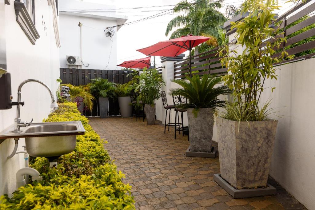 安东尼奥港添竹酒店的一座带水槽和植物的庭院