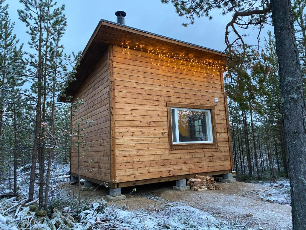 伊纳利Aurora Husky Hut的树林中一个小房子,有窗户