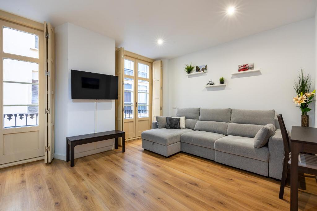 马拉加Apartamento Soho Málaga的带沙发和电视的客厅
