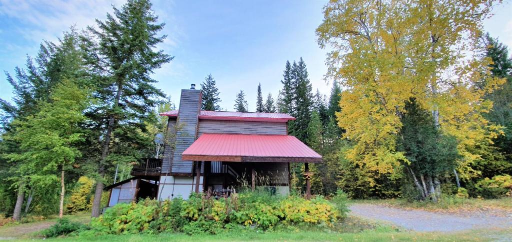 戈尔登高山草甸旅舍的红屋顶林中小屋