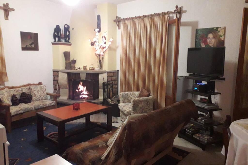 KalíviaEfis house的带沙发和壁炉的客厅