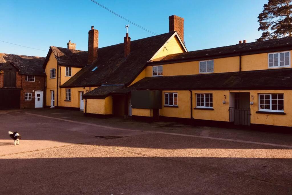 埃克塞特Elbury Farm Annex的狗站在建筑物前