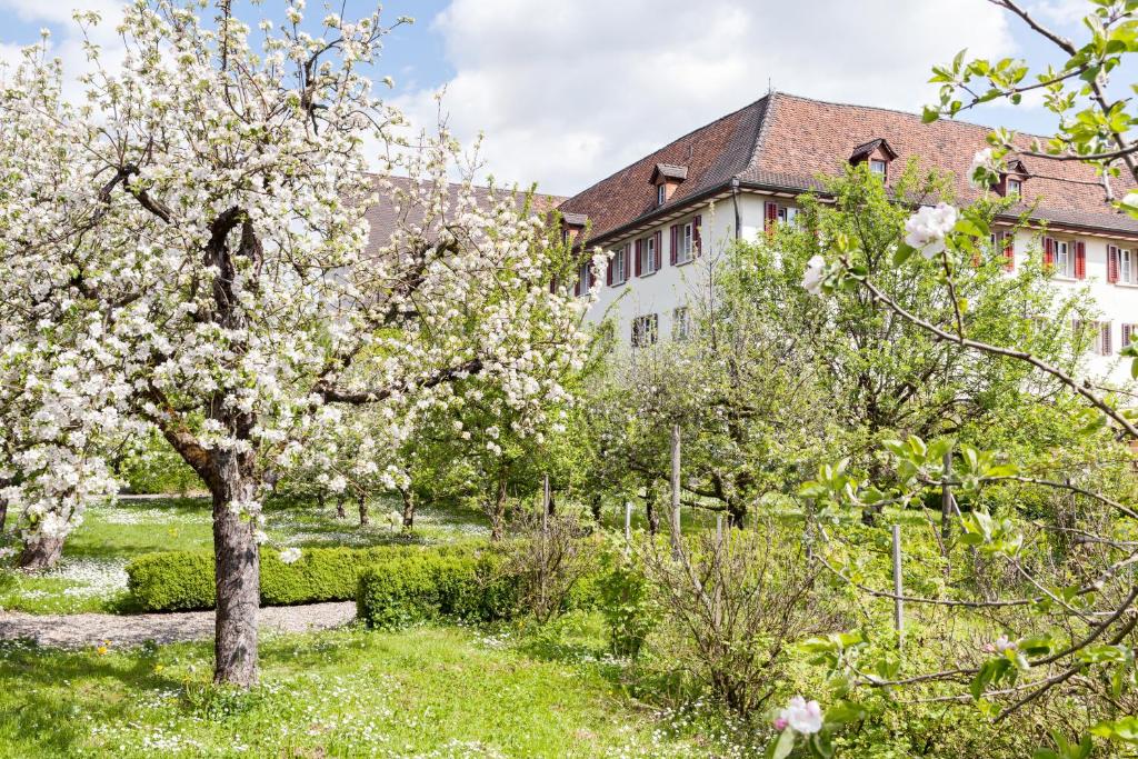 多尔纳赫Kloster Dornach / Basel的建筑物前的花树