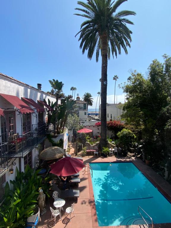 圣巴巴拉玫瑰别墅旅馆的棕榈树酒店旁边的游泳池