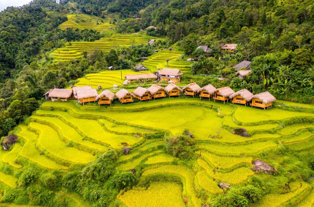 河江Hoang Su Phi Lodge的稻田中村庄的空中景观