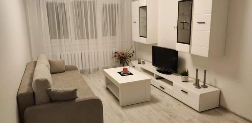 希奥利艾Butas miesto centre/ Apartment in the city center的带沙发和电视的客厅