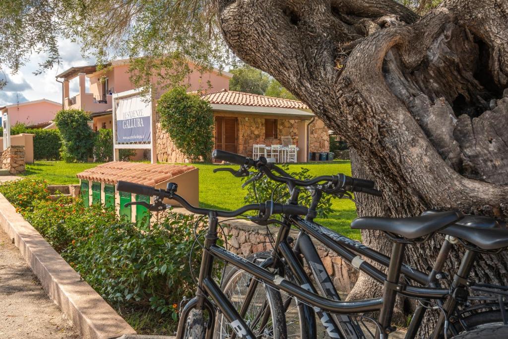 圣特奥多罗Residenze Gallura的停在树旁边的一群自行车