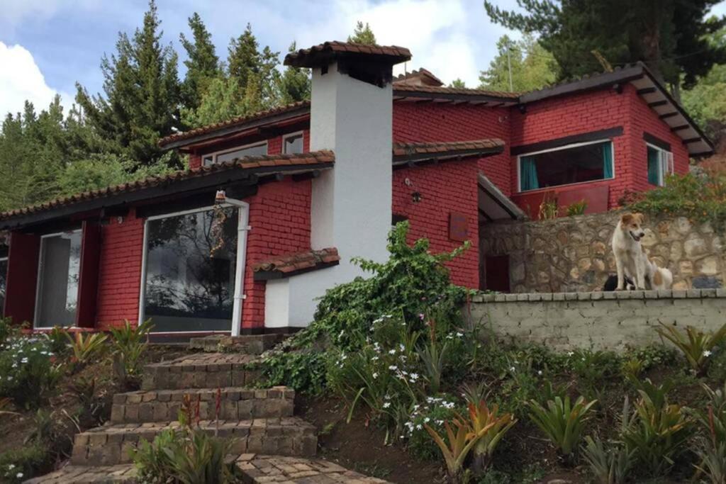 度假屋 el recanto del colibrí