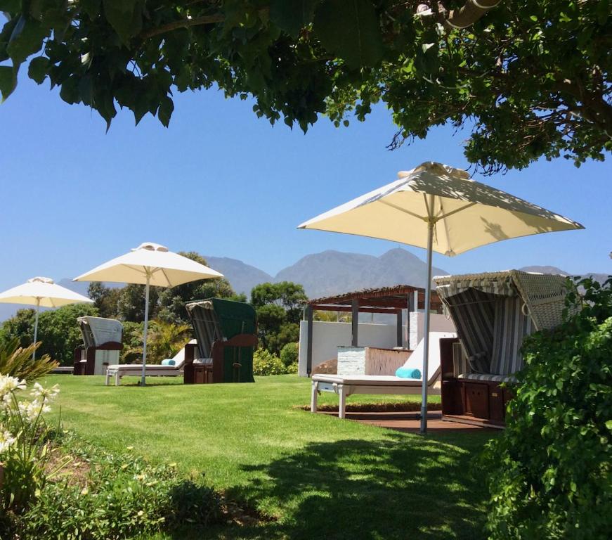 戈登湾杏花园旅馆的草坪上的一组椅子和遮阳伞