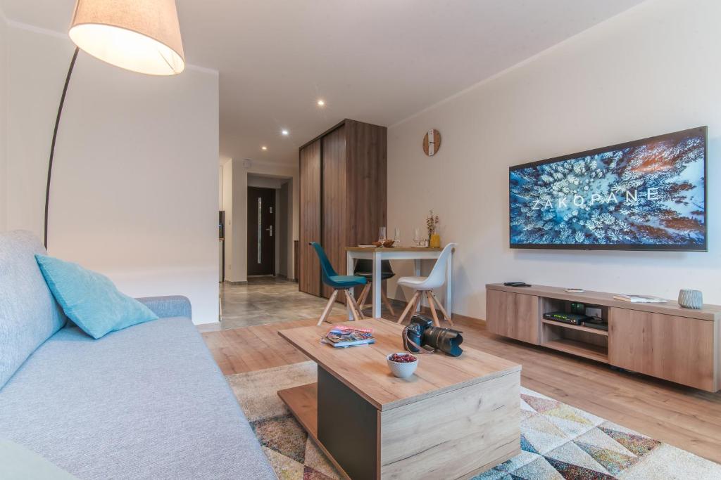 扎科帕内Apartament Magnezja Zakopane的客厅配有沙发和墙上的电视