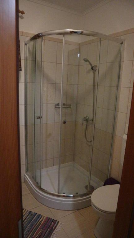 赛特古特哈德嘉尔文德豪斯旅馆的设有带卫生间的浴室内的淋浴间