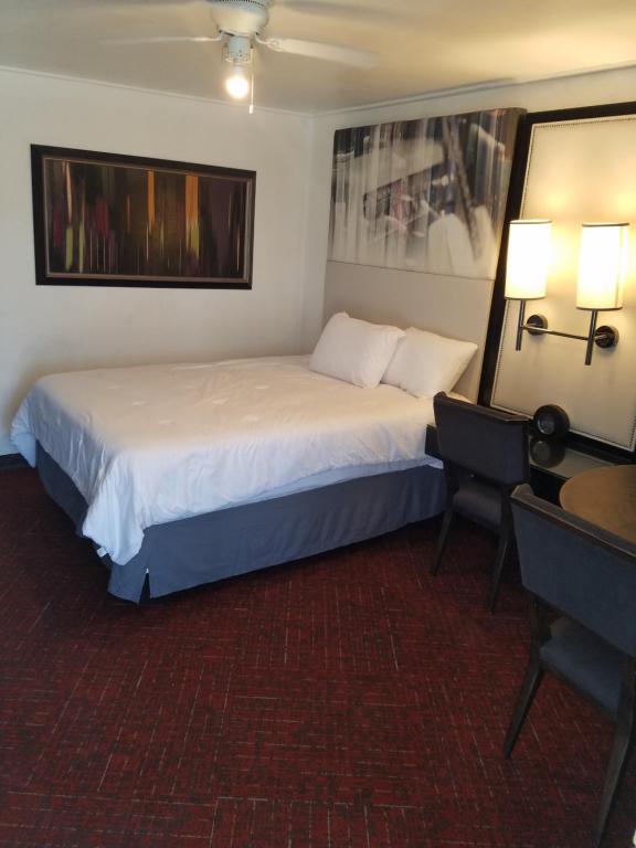 WinonaJudy's bed and Breakfast的配有一张床和一张书桌的酒店客房