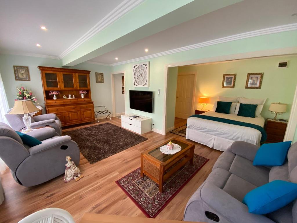 谭伯连山Curtis Falls Studio-Apartment的客厅配有床、沙发和电视。