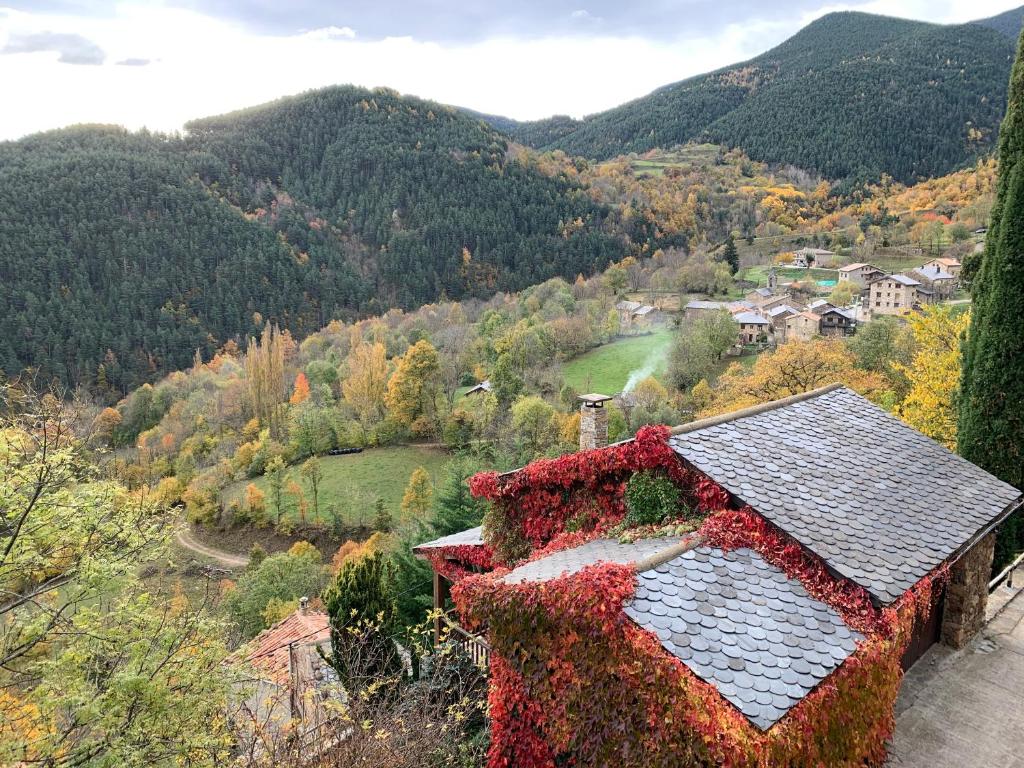 NaváCasa Rural Pirineu Nevà的山上常春藤和花朵覆盖的房子
