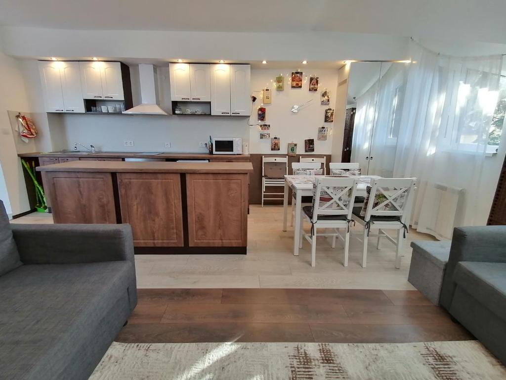波罗维茨Apartment 15的客厅以及带桌椅的厨房。