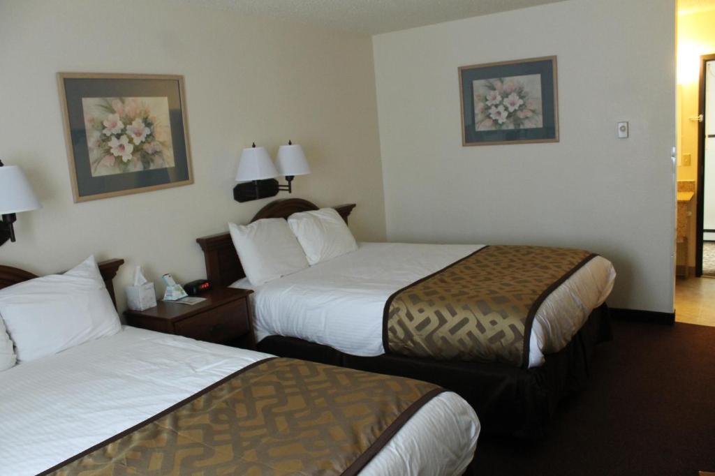 西德尼隆特里汽车旅馆的酒店客房,配有两张带白色床单的床