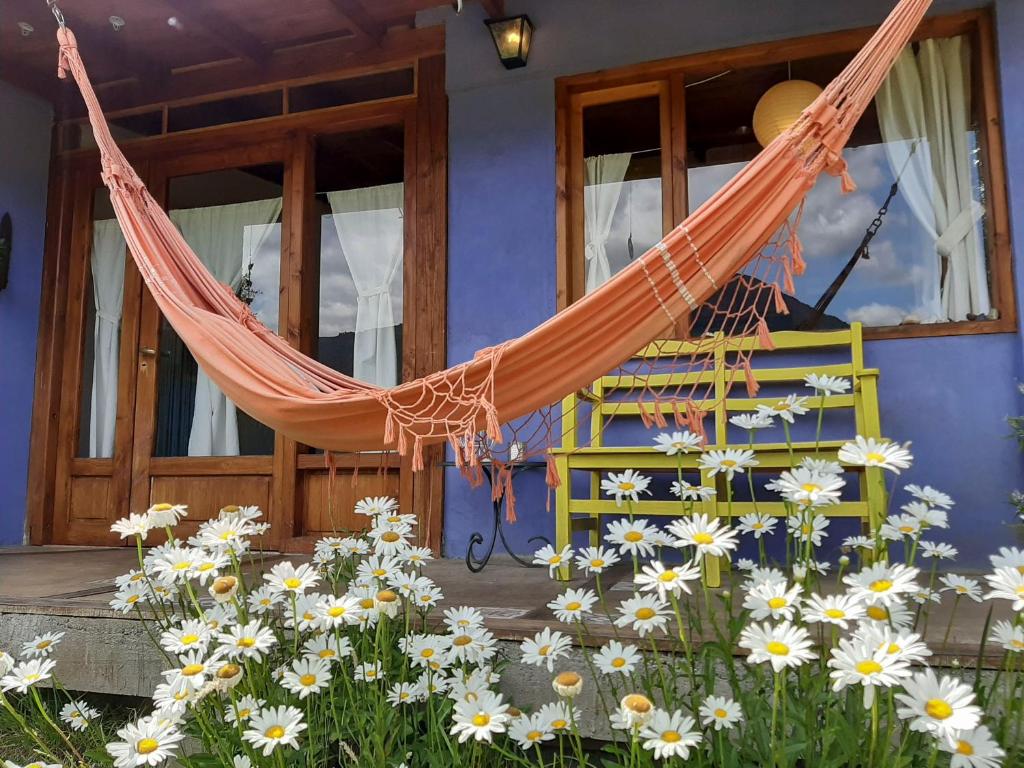 普埃洛湖Cabañas Las Nativas的鲜花屋前的吊床