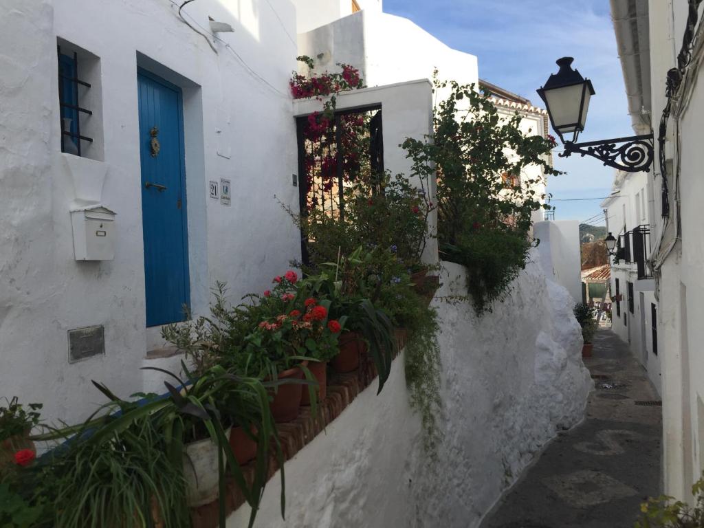 弗里希利亚纳El corralón的一条花 ⁇ 的狭窄小巷和一扇蓝色的门