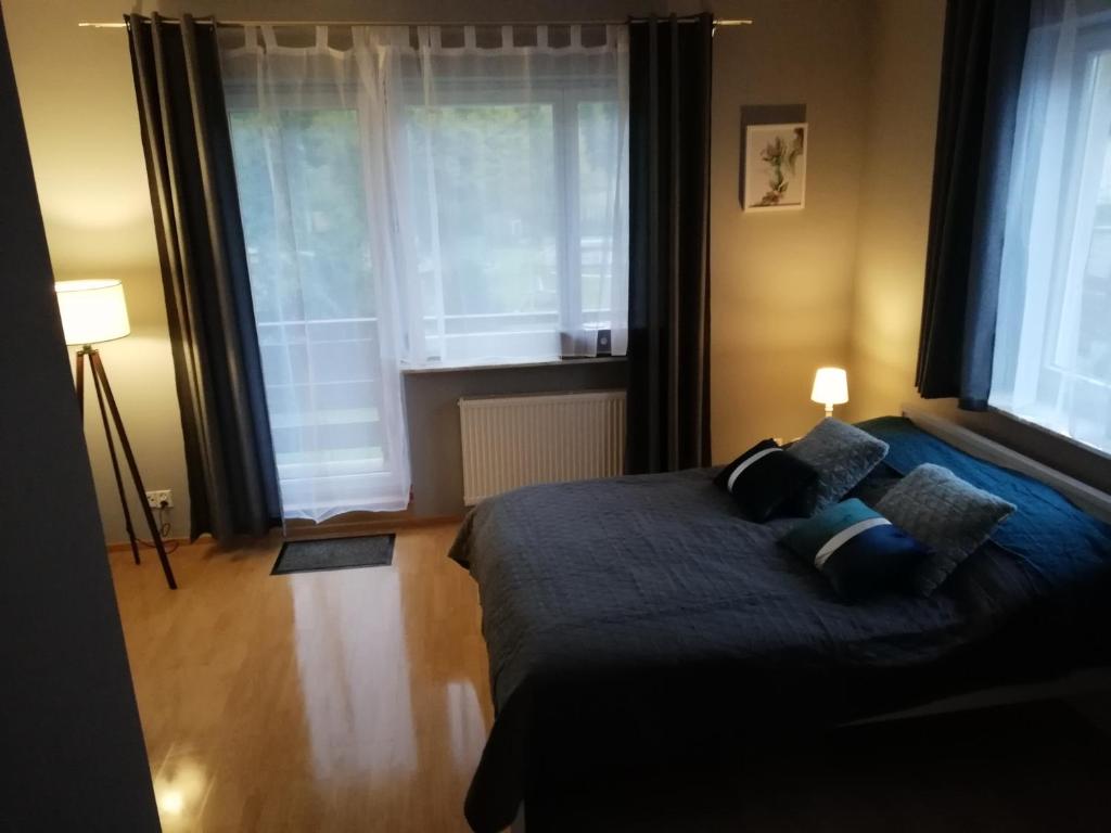 科尼基Apartament nad Gorczańskim Strumieniem的一间卧室配有带2个枕头的床和2个窗户。