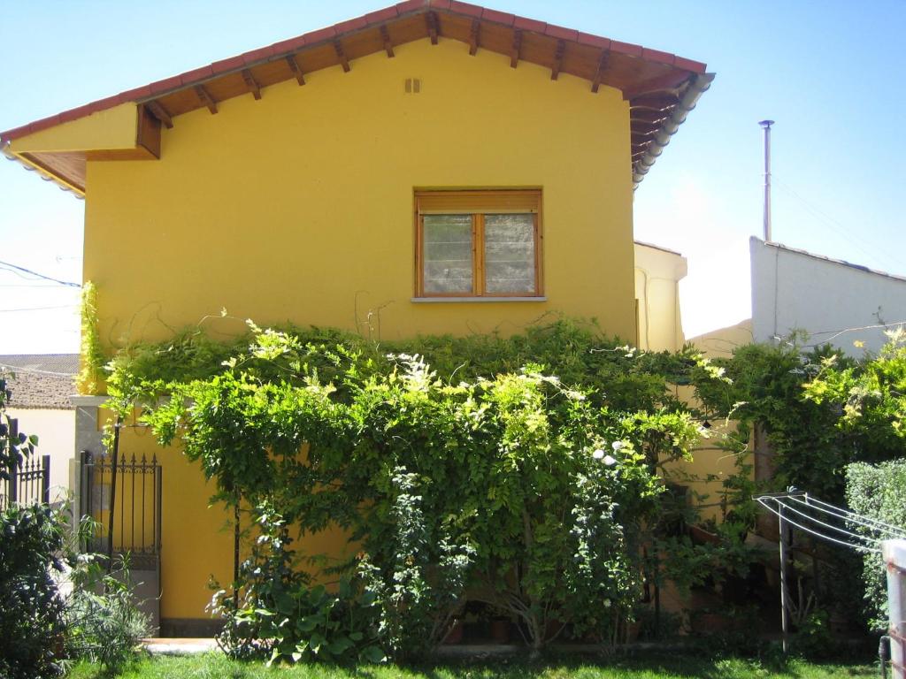 阿尔格达斯Casa Rural Casa Juli的黄色的房子,上面有一堆葡萄藤