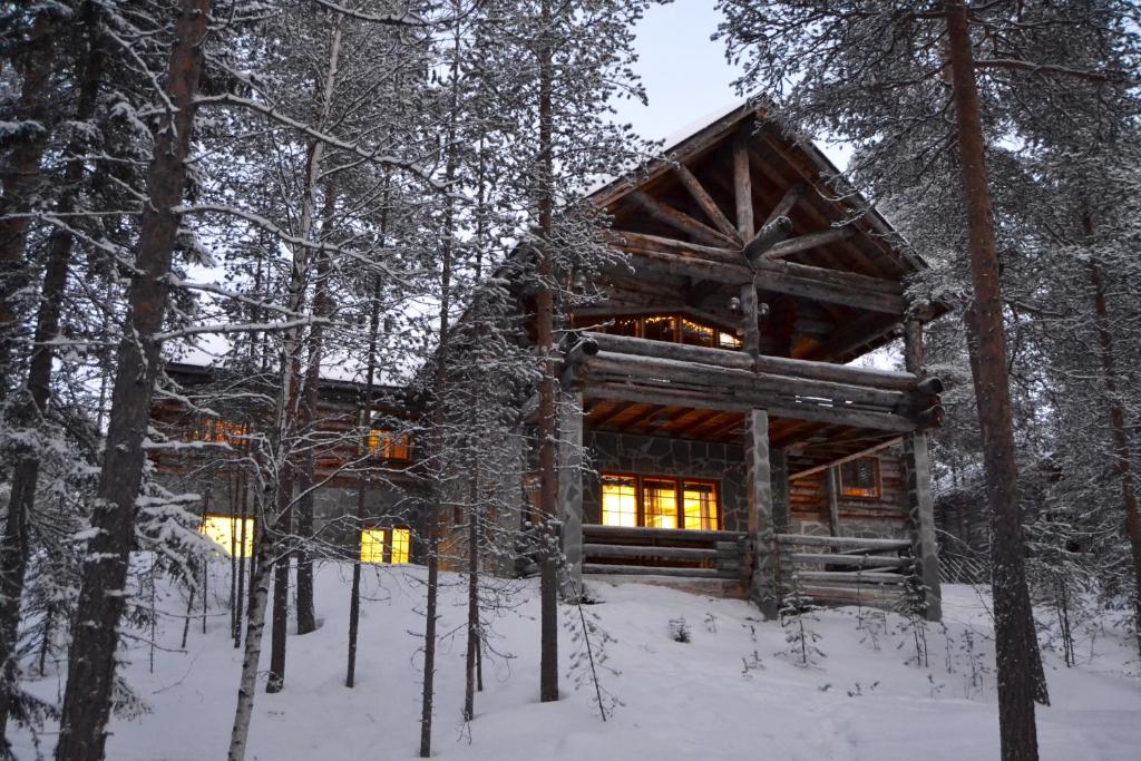 普哈圣山Log Villa Tietotunturi的雪中树林里的小木屋