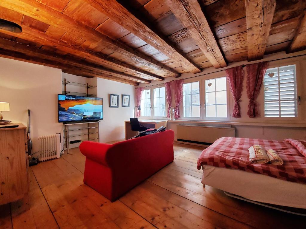 苏黎世Swiss Chalet Style的客厅配有红色沙发和电视