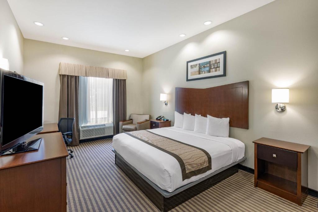 维多利亚维多利亚贝蒙特酒店及套房的配有一张床和一台平面电视的酒店客房