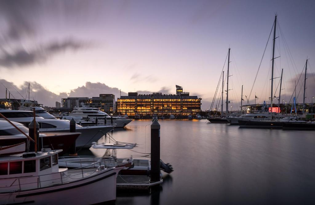 奥克兰Park Hyatt Auckland的一群船停靠在港口,有一座建筑