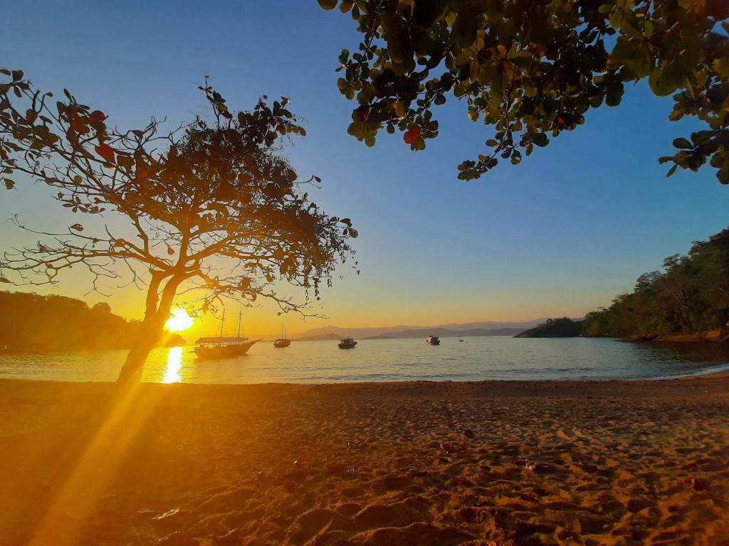 Praia do BananalCasa de Temporada Ceu e Mar的海滩上的一棵树,背着日落