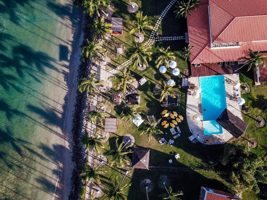 莫罗圣保罗Pousada Caeira的棕榈树和游泳池的度假村的顶部景色