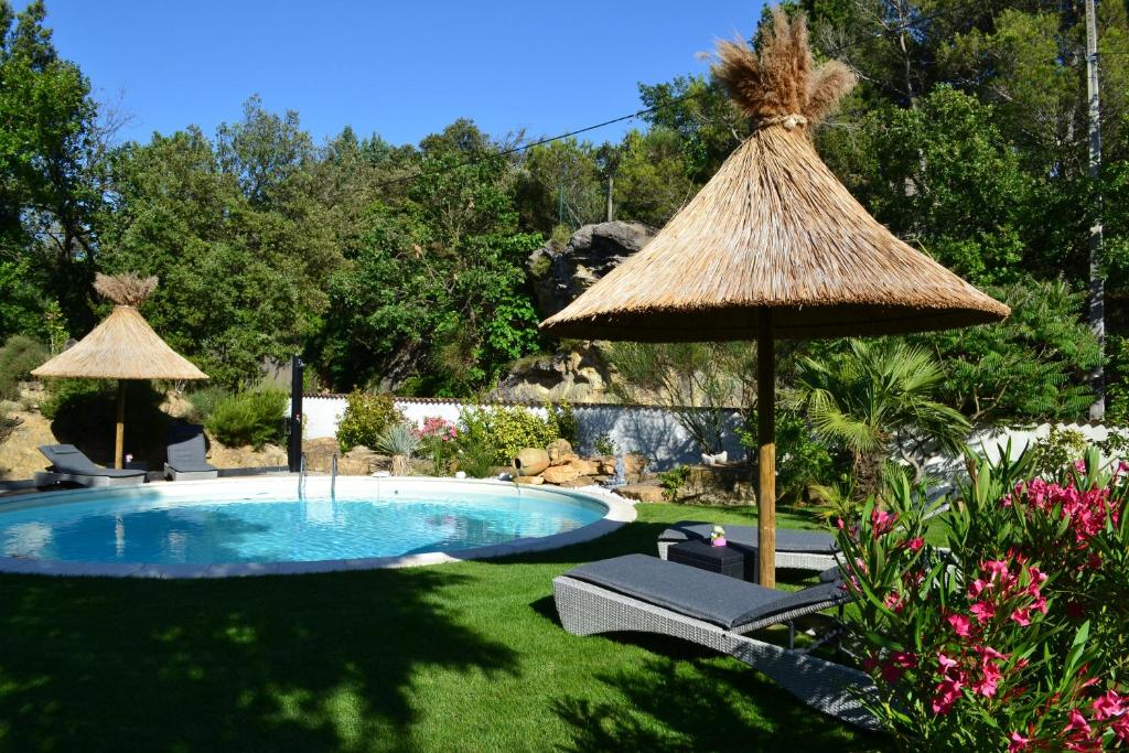 莫尔纳乐府酒店的一个带草伞和椅子的游泳池