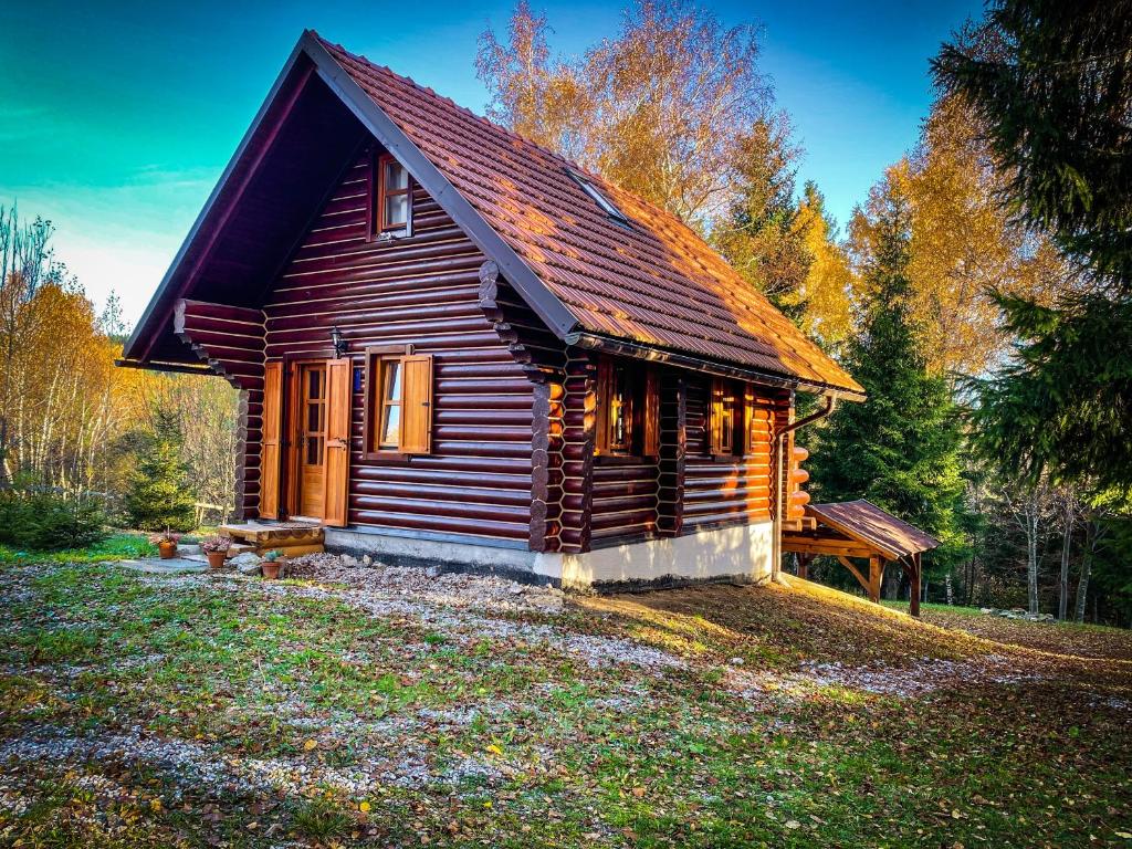 HlevciPine Lodge的森林中间的小木屋