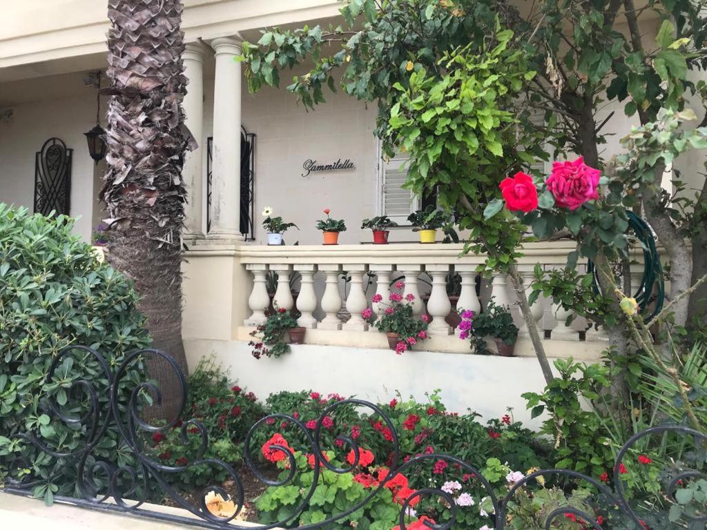 圣保罗湾城Villa Zammitella的白色的楼梯,上面有盆栽植物和花卉