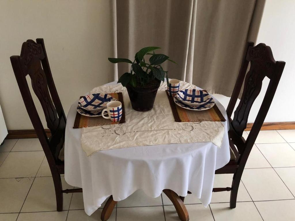 马那瓜Open house的一张桌子,上面有白色的桌布和植物