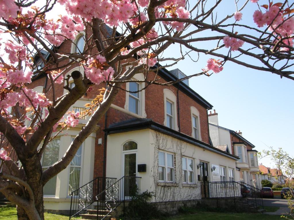 绍斯波特谢尔本公寓的树上花粉红色的房子