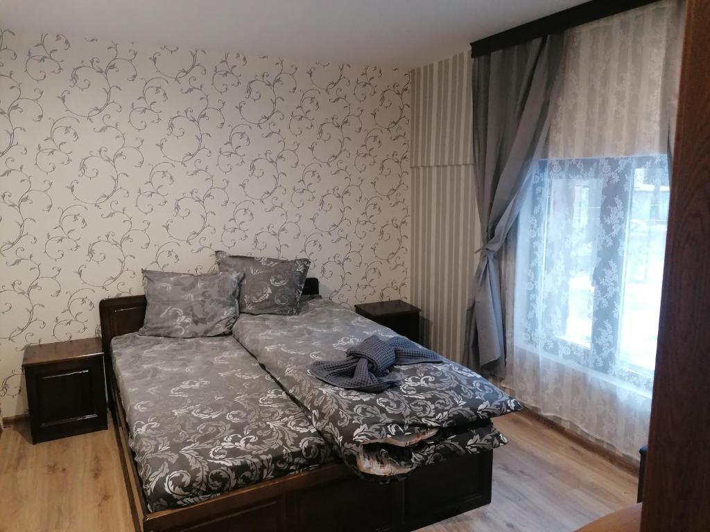 西格伏沙尔克Къща за гости ЕКО的一间卧室设有一张床和一个窗口