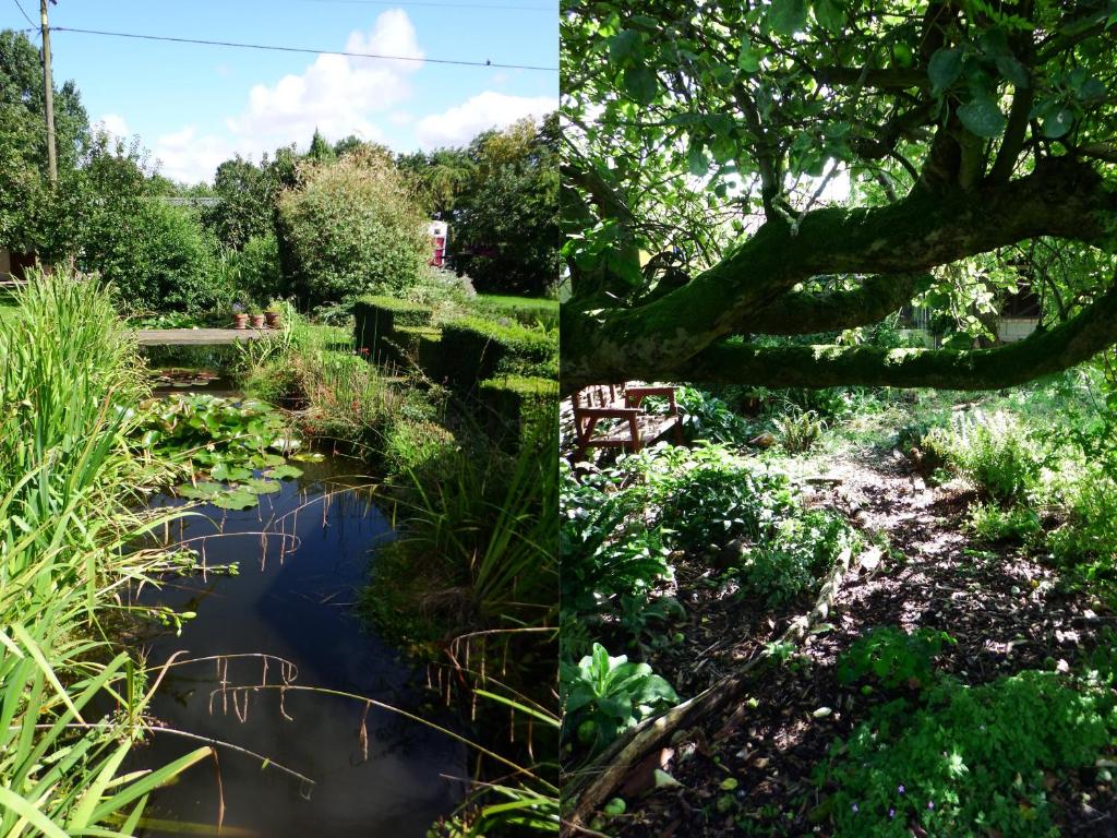 维斯贝希Kenilworth Garden Accomodation的两张花园和池塘的照片
