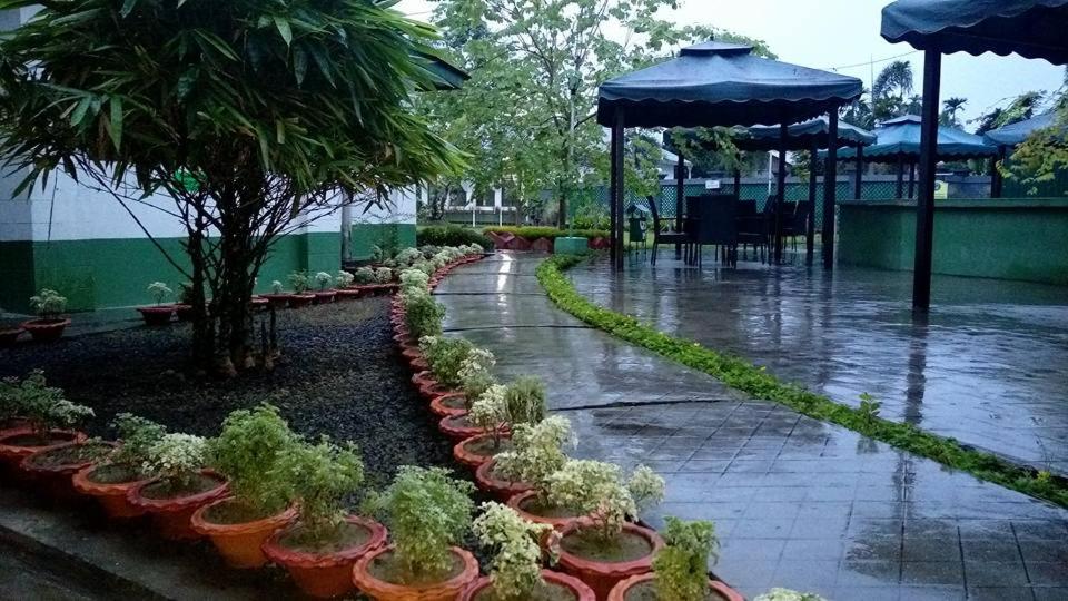 GolāghātGolaghat Gymkhana的雨中人行道上一排盆栽植物