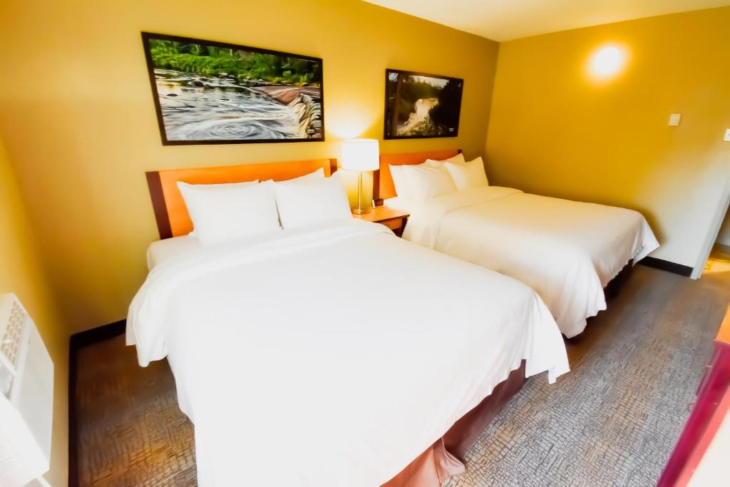 温尼伯Canad Inns Destination Centre Windsor Park的两张床位于带黄色墙壁的酒店客房