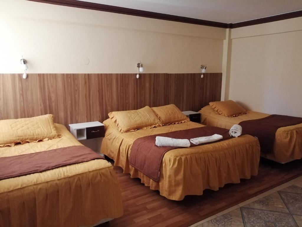 乌尤尼希尔乌尤尼旅舍的一间酒店客房,房间内设有三张床
