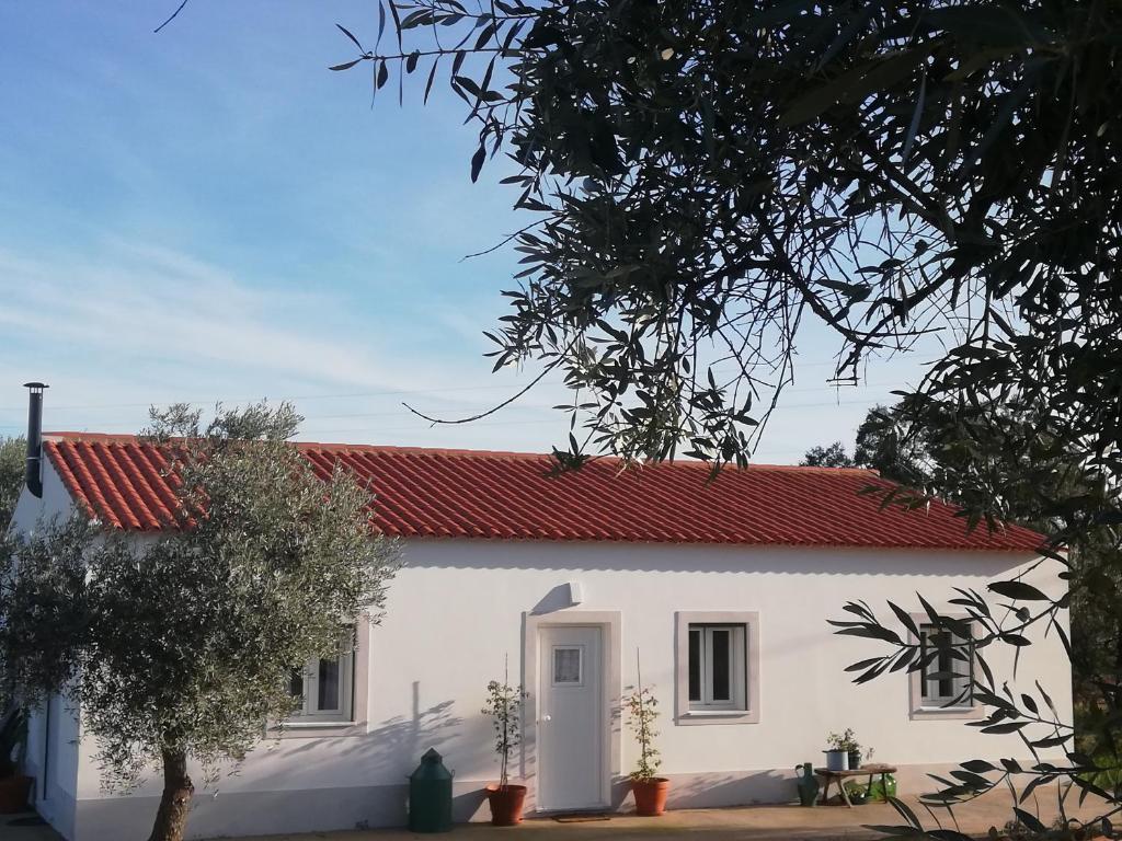 PedrógãoBurrico D`Orada - Lodging & Experiences的白色房子,有红色屋顶
